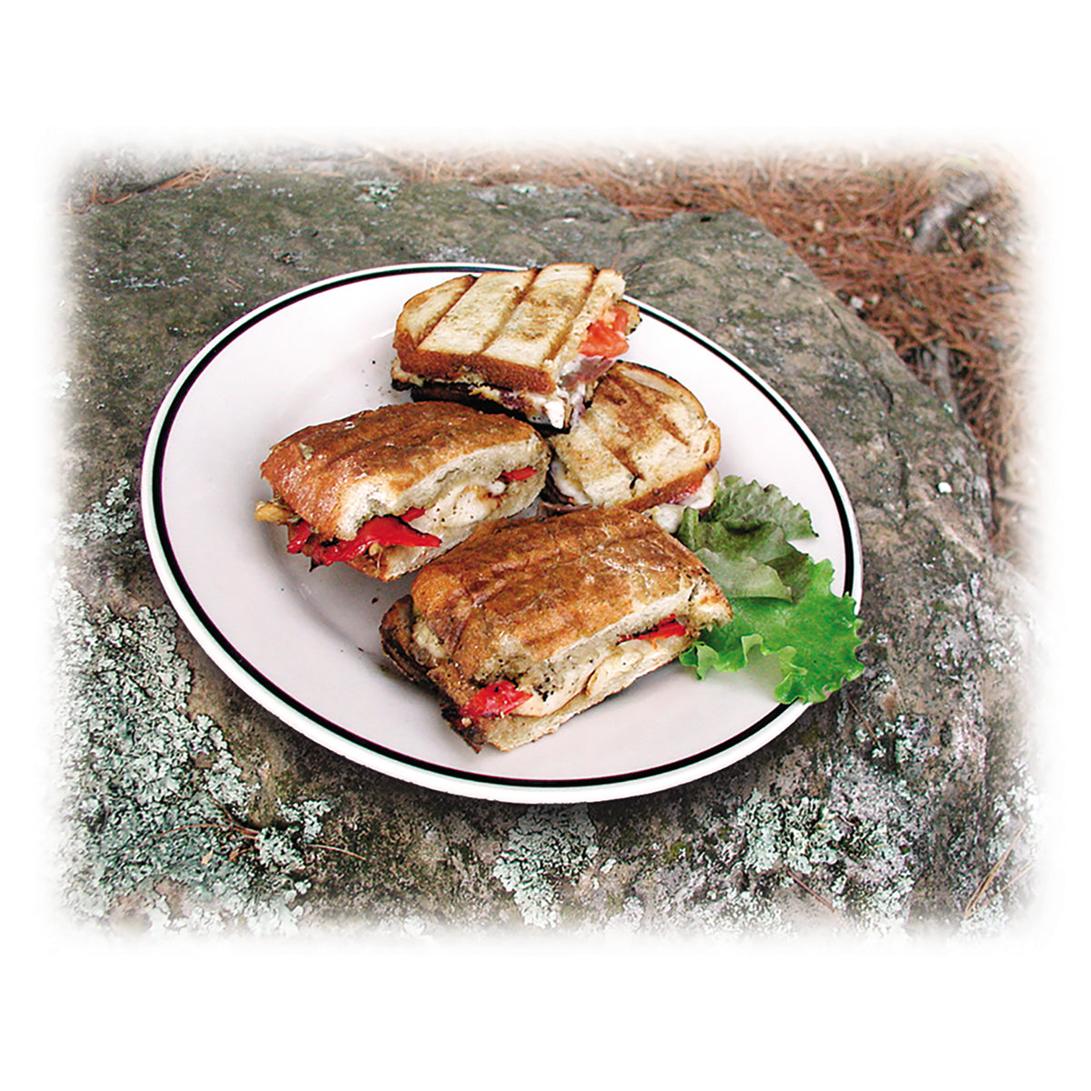Panini sandwiches on plate