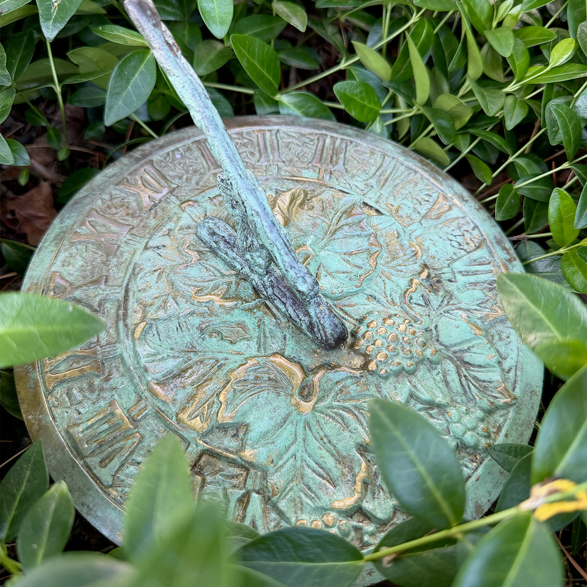 Solid Brass Grapevine Sundial in garden close up