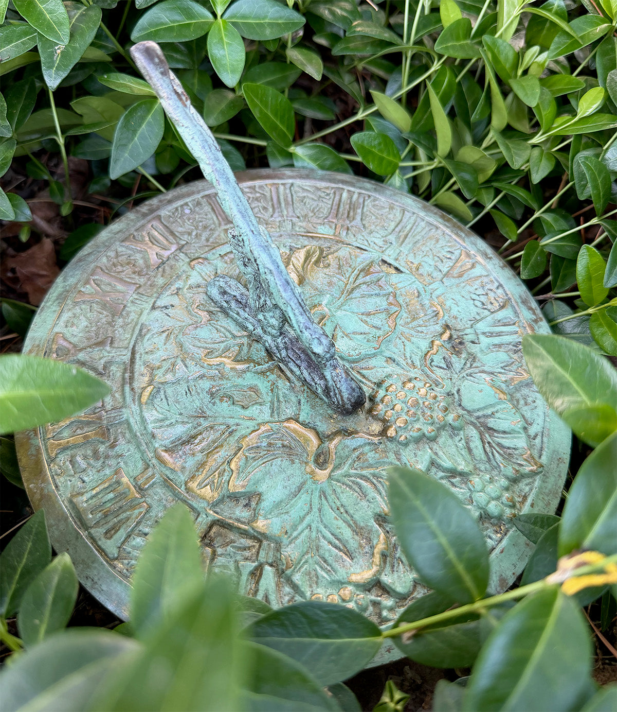 Solid Brass Grapevine Sundial in garden close up